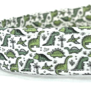 Dinosaurs Dog Collar for Boy Girl - XXS, XS, Small, Medium, Large, XL - Green T-Rex