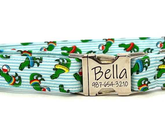 Summer Beach Dog Collar for Boy Girl - Personalized Engraved Buckle- Dinosaurs with Balls, Pool Floats
