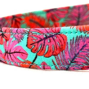 Hot Pink Tropical Leaves Dog Collar for Boy, Girl