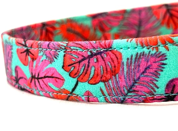 Hot Pink Tropical Leaves Dog Collar for Boy, Girl