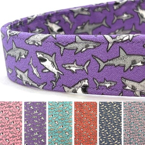 Purple Shark Dog Collar for Girl Boy