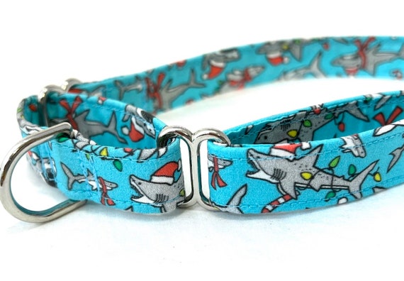 Christmas Martingale Dog Collar - Sharks Wearing Santa Hats Aqua