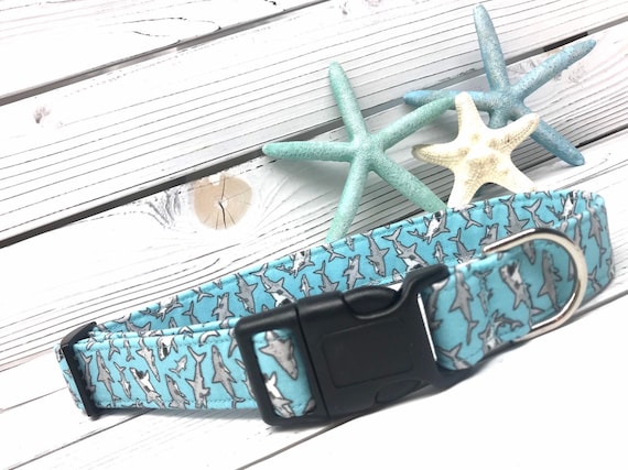 Shark Dog Collar for Girl Boy -  Aqua