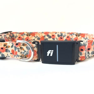 Fi Series 3 Compatible Dog Collar PLASTIC Buckle - 1&quot; or 3/4&quot; Wide - Rifle Paper Co Le Fleurs Rosa Flora Peach