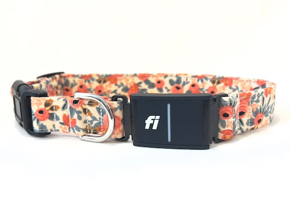 Fi Series 3 Compatible Dog Collar PLASTIC Buckle - 1" or 3/4" Wide - Rifle Paper Co Le Fleurs Rosa Flora Peach