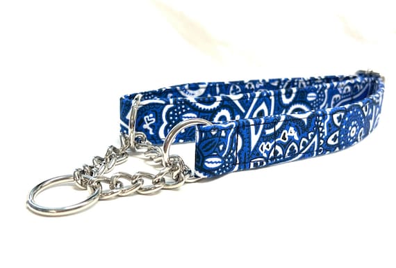 Blue Paisley Dog Collar - Chain Martingale, 1" Wide