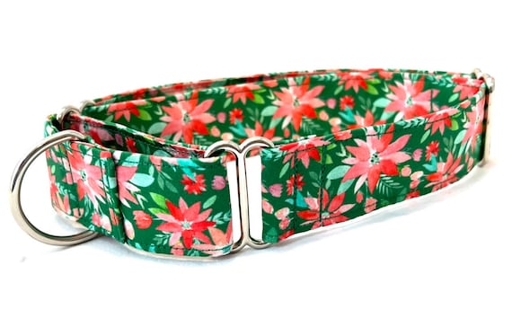 Christmas Martingale Dog Collar - Green and Red Poinsettias