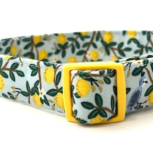 Rifle Paper Co Dog Collar for Girl, Boy - Lemon Trees
