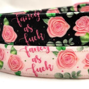 Funny Dog Collar - Fancy as F*ck  - Swearing