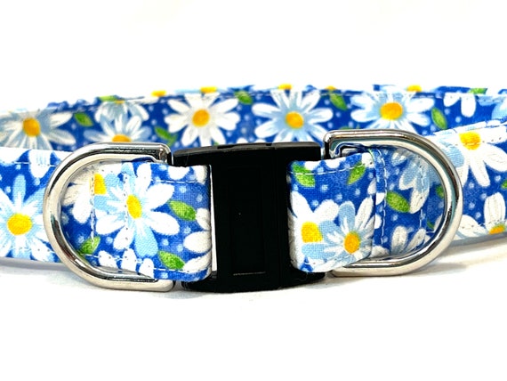 BREAKAWAY Dog Collar for Boy, Girl - Safety - Happy Daisies - 5 Color Options: Yellow, Pink, Blue, Aqua, Purple