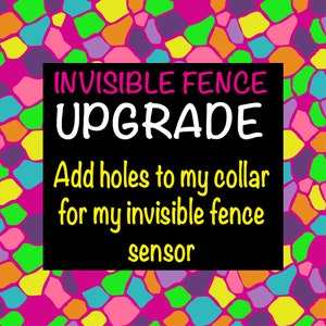 UPGRADE- Add Holes to my Collar for My Invisible Fence Sensor - Purchase With Collar