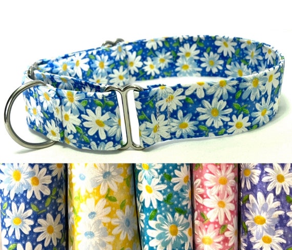 Classic Martingale Dog Collar - Happy Daisies - Yellow, Pink, Blue, Aqua, Purple