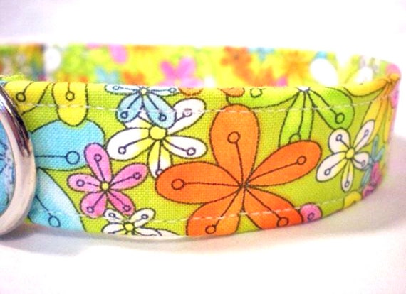 Happy Spring Flowers Dog Collar