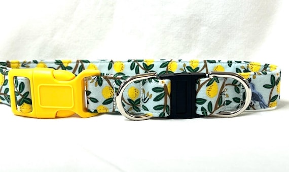 BREAKAWAY Dog Collar with Side-Release Buckle - Rifle Paper Co Lemon Trees - Safety