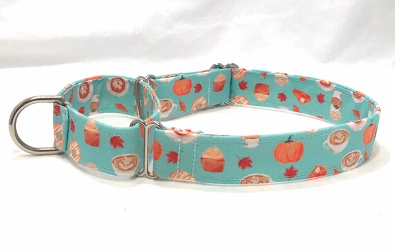 Fall Martingale Dog Collar - Pumpkin Spice Latte, Doughnuts -Aqua