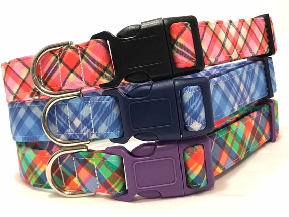 Tropical Plaid Dog Collar - Bright Summer Colors