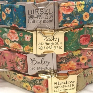 Dog Collar for Girl, Boy - Personalized Engraved Buckle - Country Flowers