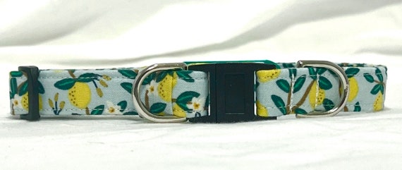 BREAKAWAY Dog Collar - Rifle Paper Co Lemon Trees- Safety