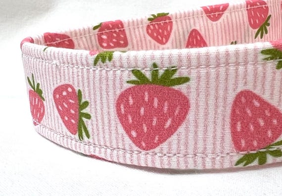 Strawberry Stripes Dog Collar: Customizable Buckle