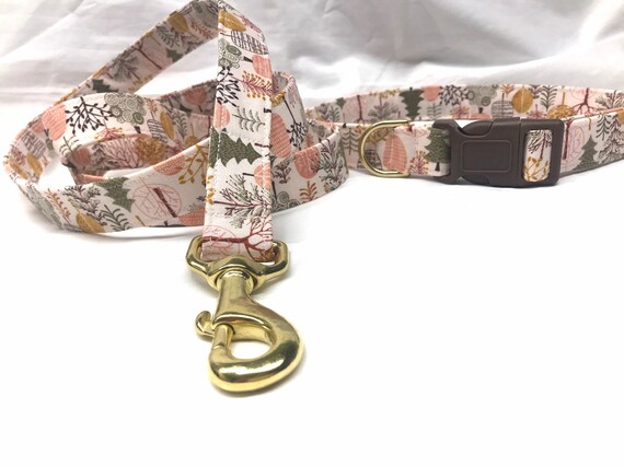 Fall Dog Collar Leash Set for Boy, Girl- Autumn Trees