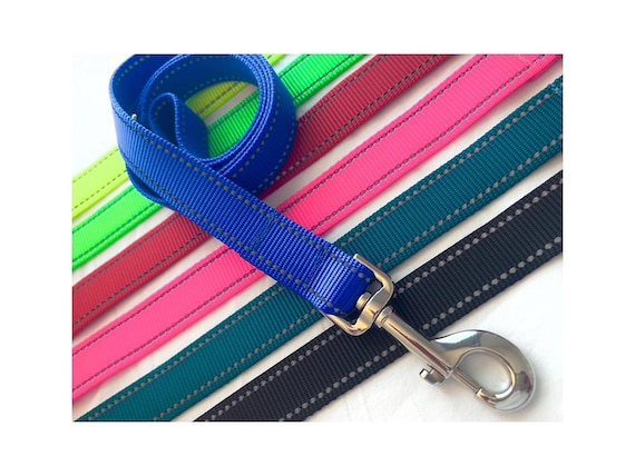 Safety Reflective Dog Leash - 7 Nylon Webbing Colors - 4 Length Options