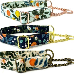 Rifle Paper Co. Chain Martingale Dog Collar 1" Wide - Florida Citrus - Rose Gold, Antique Brass