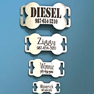 May include: Four silver-colored pet ID tags in a bone shape, each with a different name and phone number. The names are Diesel, Ziggy, Winnie, and Maverick. The background is a solid light blue.