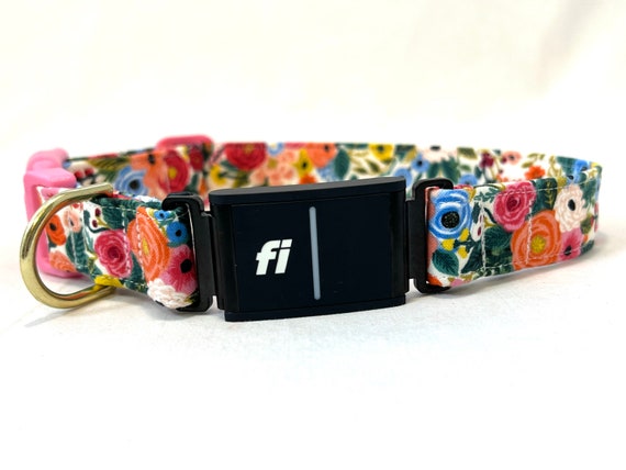 Fi Series 3 Compatible Dog Collar PLASTIC Buckle - 1" or 3/4" Wide - Rifle Paper Co Garden Party Red - OR Pick a Fabric