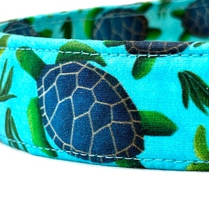 Sea Turtle Dog Collar for Girl Boy - Nautical Beach - Aqua