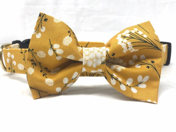 Fall Bow Tie and Dog Collar Set for Girl Boy - Mustard Floral