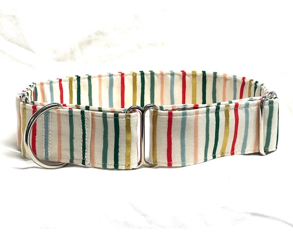 Rifle Paper Co. Christmas Martingale Dog Collar – Multicolor Gold Stripes