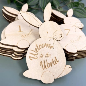 Bunny Baby Month Milestones fichier découpé au laser, glowforge, Xtool M1