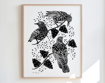Starlings 11x14 Art Print