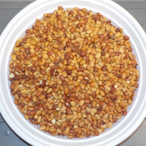 Iron Clay Cow Pea Seeds - 1 lb.