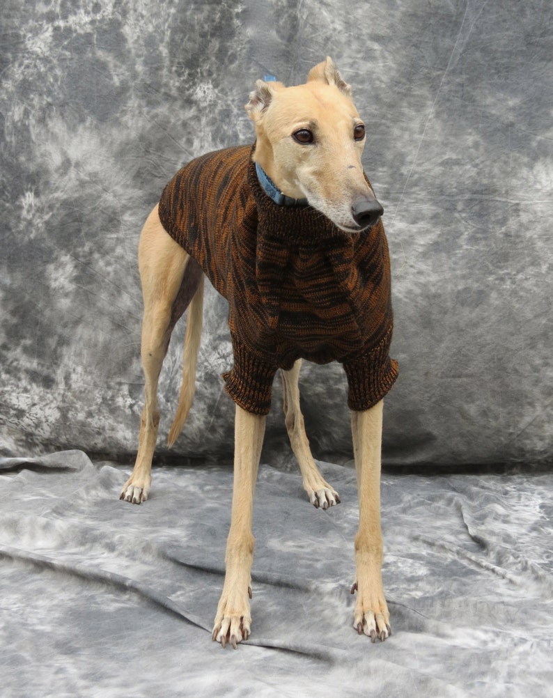 Greyhound Sweater Brown/black Brindle Medium Etsy
