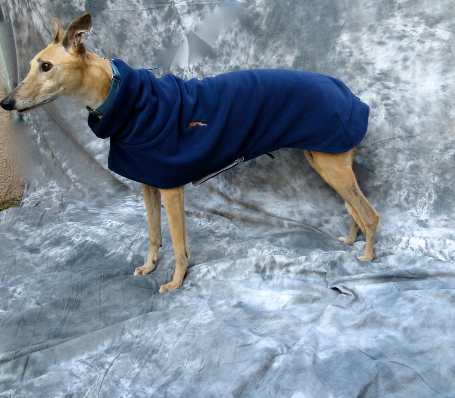 Greyhound Winter Coat Medium Female Navy Blue Etsy