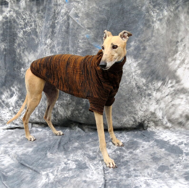 Greyhound Sweater Brown/black Brindle Medium Etsy