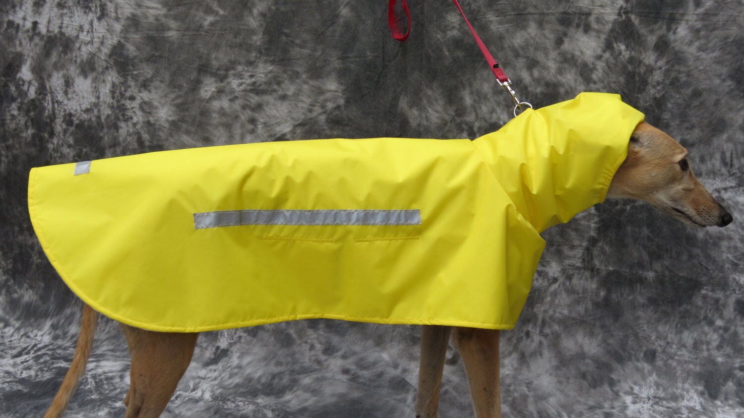 Raincoats for Greyhound Etsy