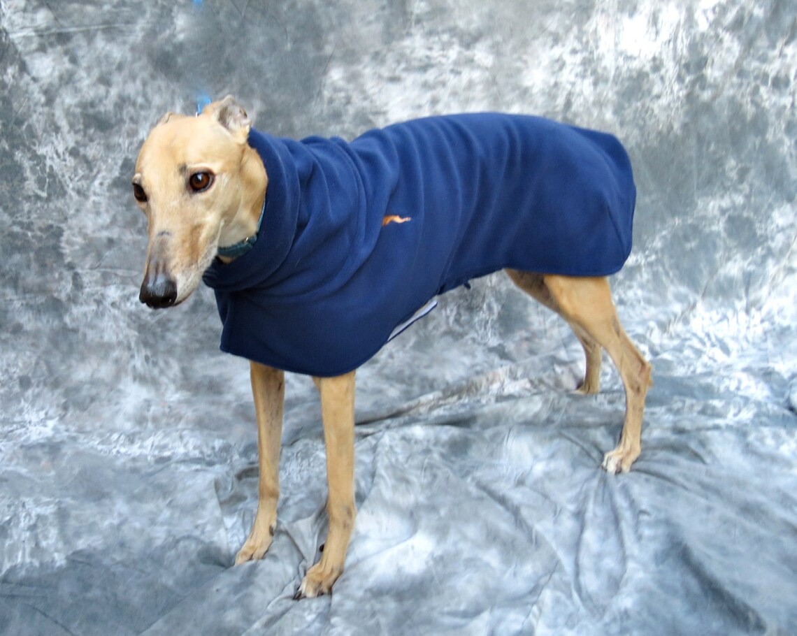 Greyhound Winter Coat Medium Female Navy Blue Etsy