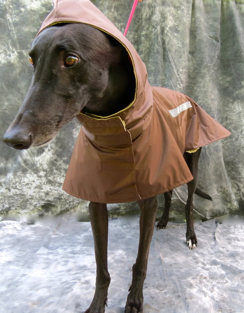 Greyhound Raincoat Brown Large Etsy