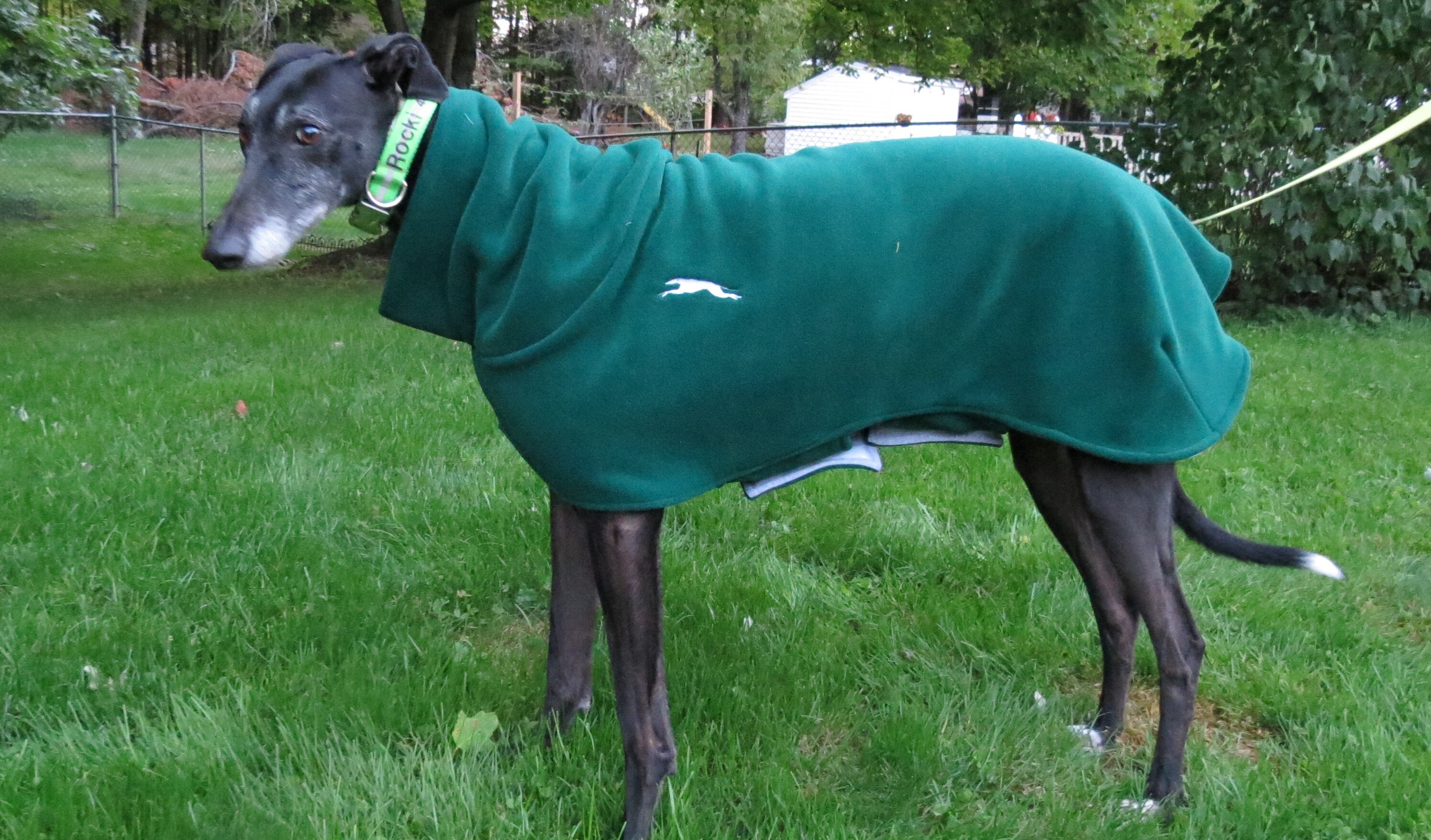 Greyhound Winter Coat medium female dark green Etsy