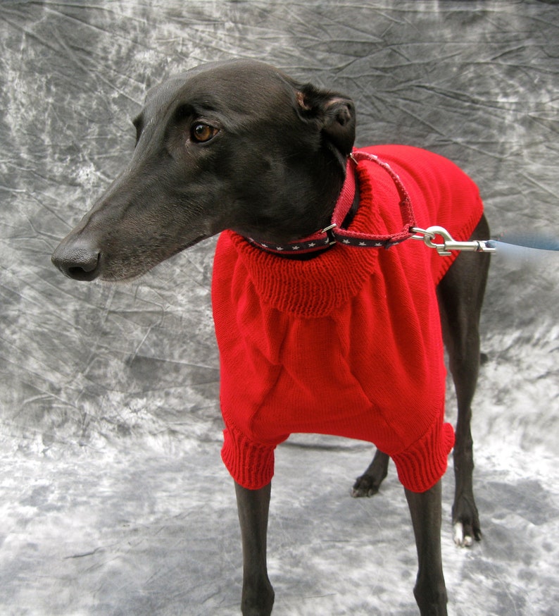Greyhound Sweater Large Red - Etsy