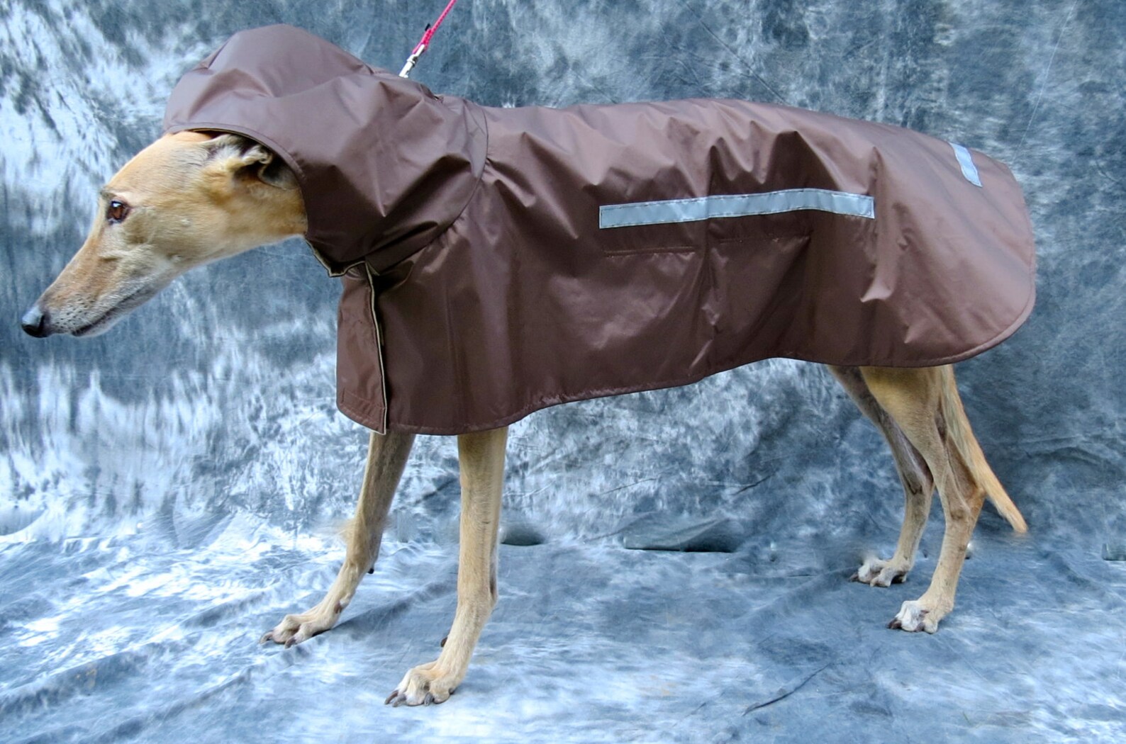 Greyhound Raincoat Brown Medium Female Etsy