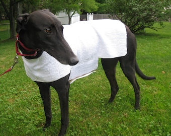 greyhound cool coat