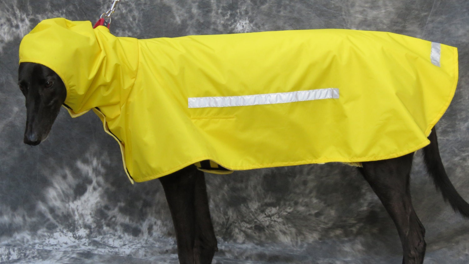 Greyhound Raincoat Yellow Large Etsy