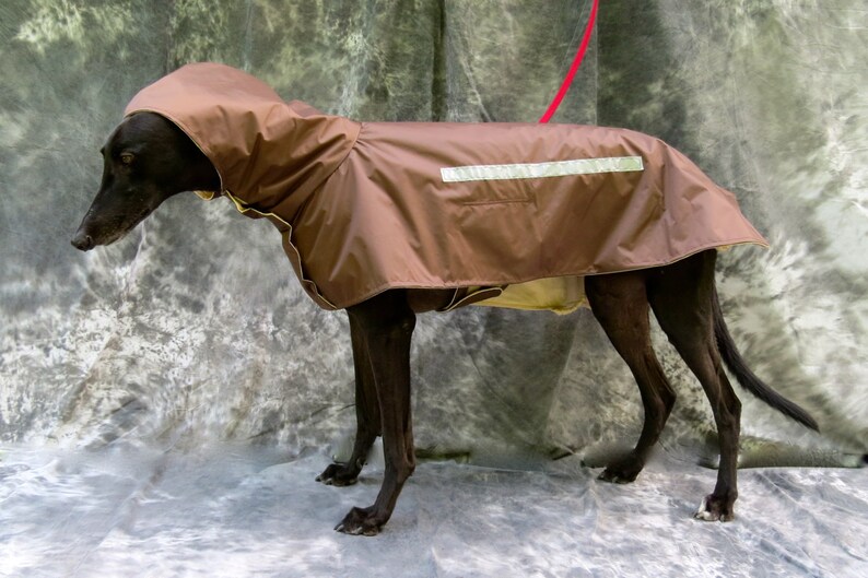 Greyhound Raincoat Brown Large Etsy