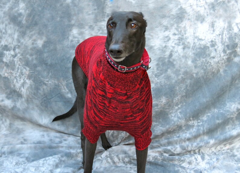 Greyhound Sweater Large Red/black Brindle Etsy