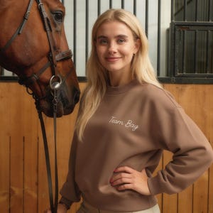 Felpa con ricamo TEAM BAY a tema equestre, girocollo personalizzato Team Bay, pullover per amanti dei cavalli baio