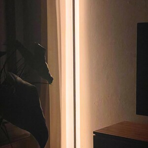 Könnte beinhalten: Eine weiße Stehlampe mit einer langen, dünnen, vertikalen Lichtquelle. Die Lampe ist eingeschaltet und strahlt ein warmes, weißes Licht ab. Die Lampe steht auf einem Holzboden.
