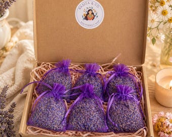 Sacchetti di lavanda naturale (set da 6) | Deodorante per ambienti per armadi, cassetti e auto, repellente per tarme, regalo naturale e rilassante